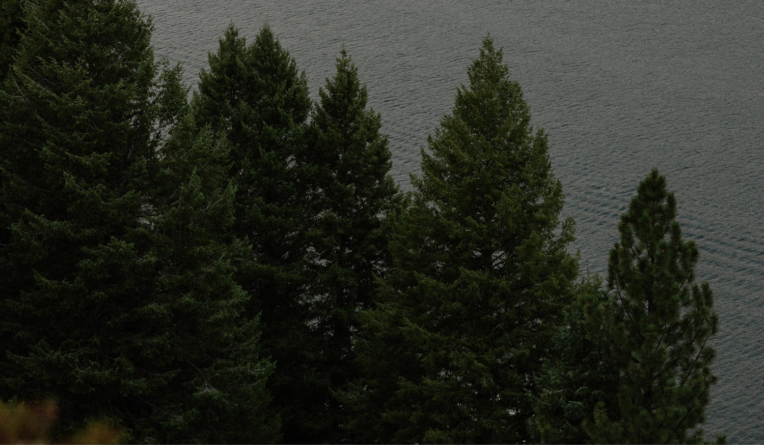 Footer image