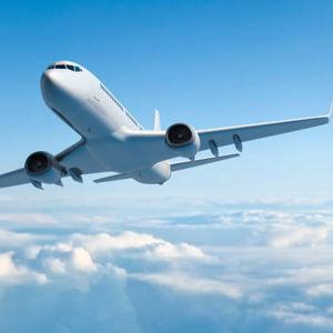 Flights, Trains & Hotels