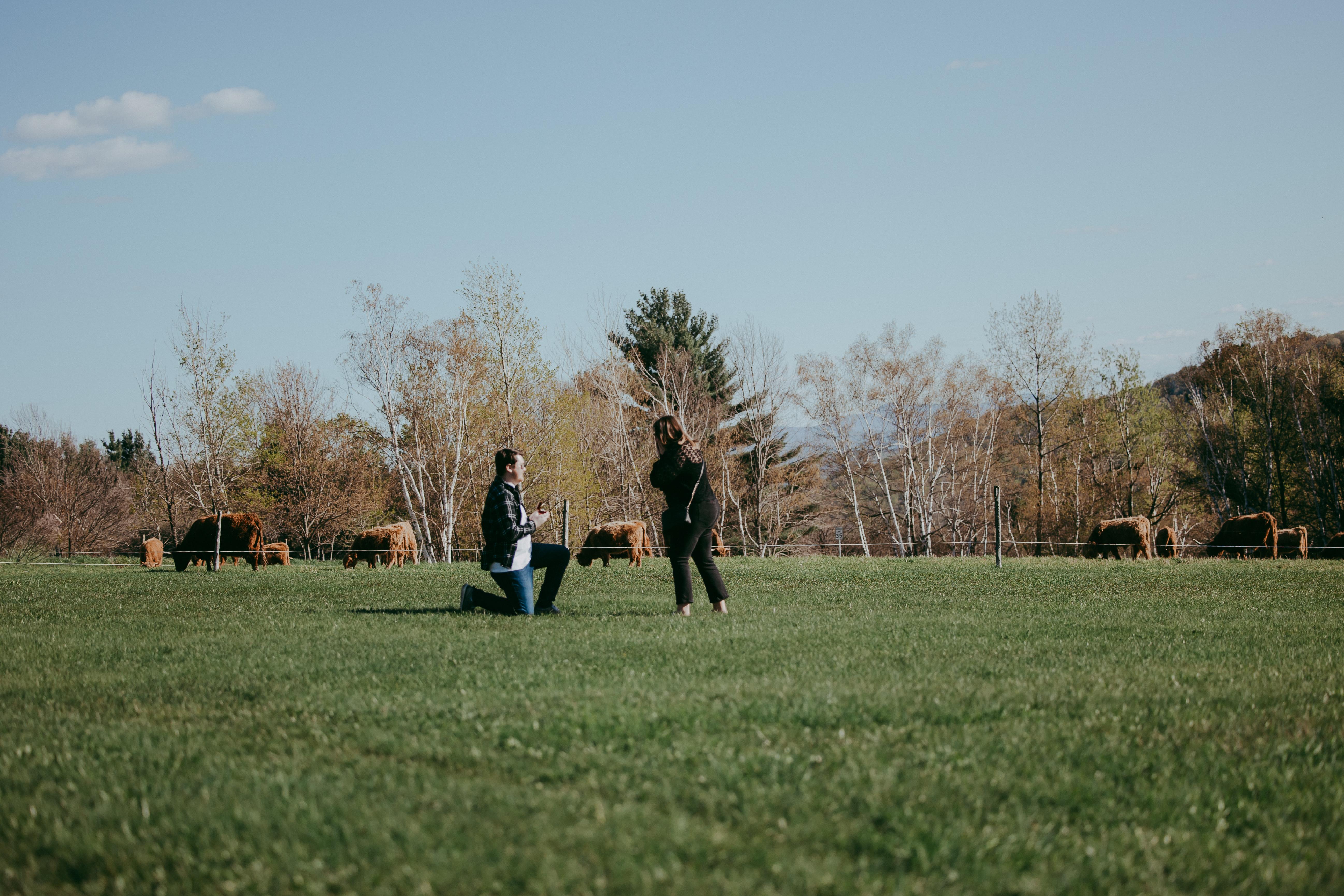 The Wedding Website of Rachel Mills and Jack Litchfield