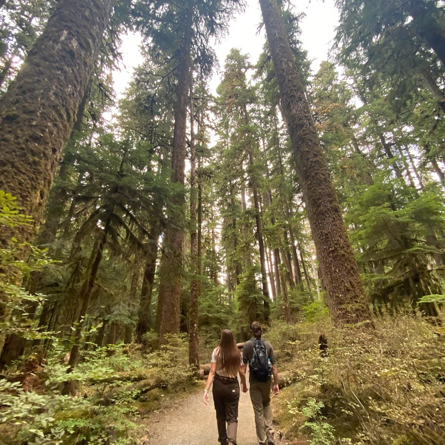 Olympic National Park 2023