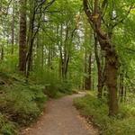 Mt. Tabor Park