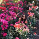Exploring the Rose Garden