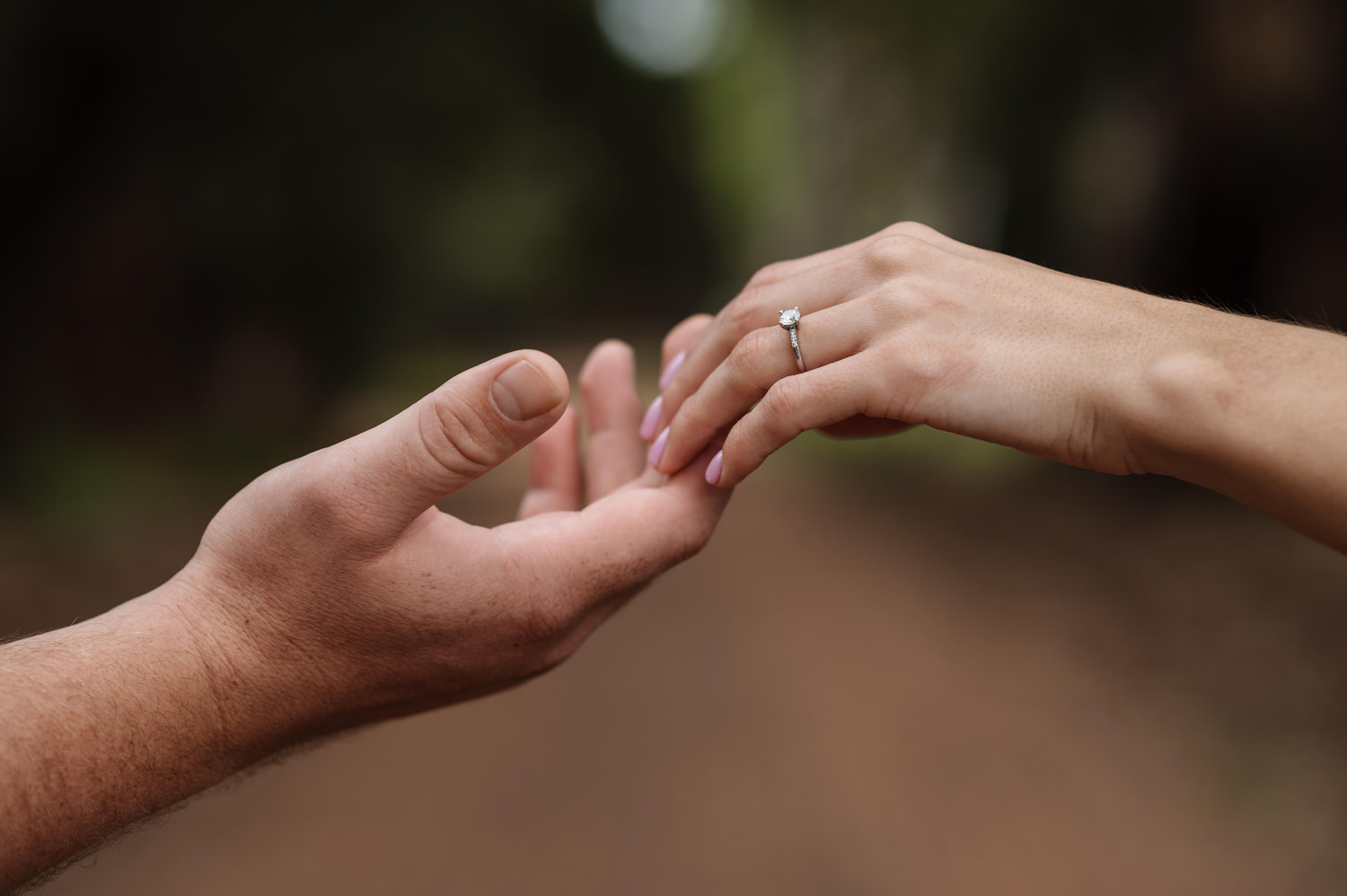 The Wedding Website of Crystal Chamberlain and Marius Venter