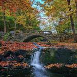 Hallowell's Vaughan Woods Trailhead