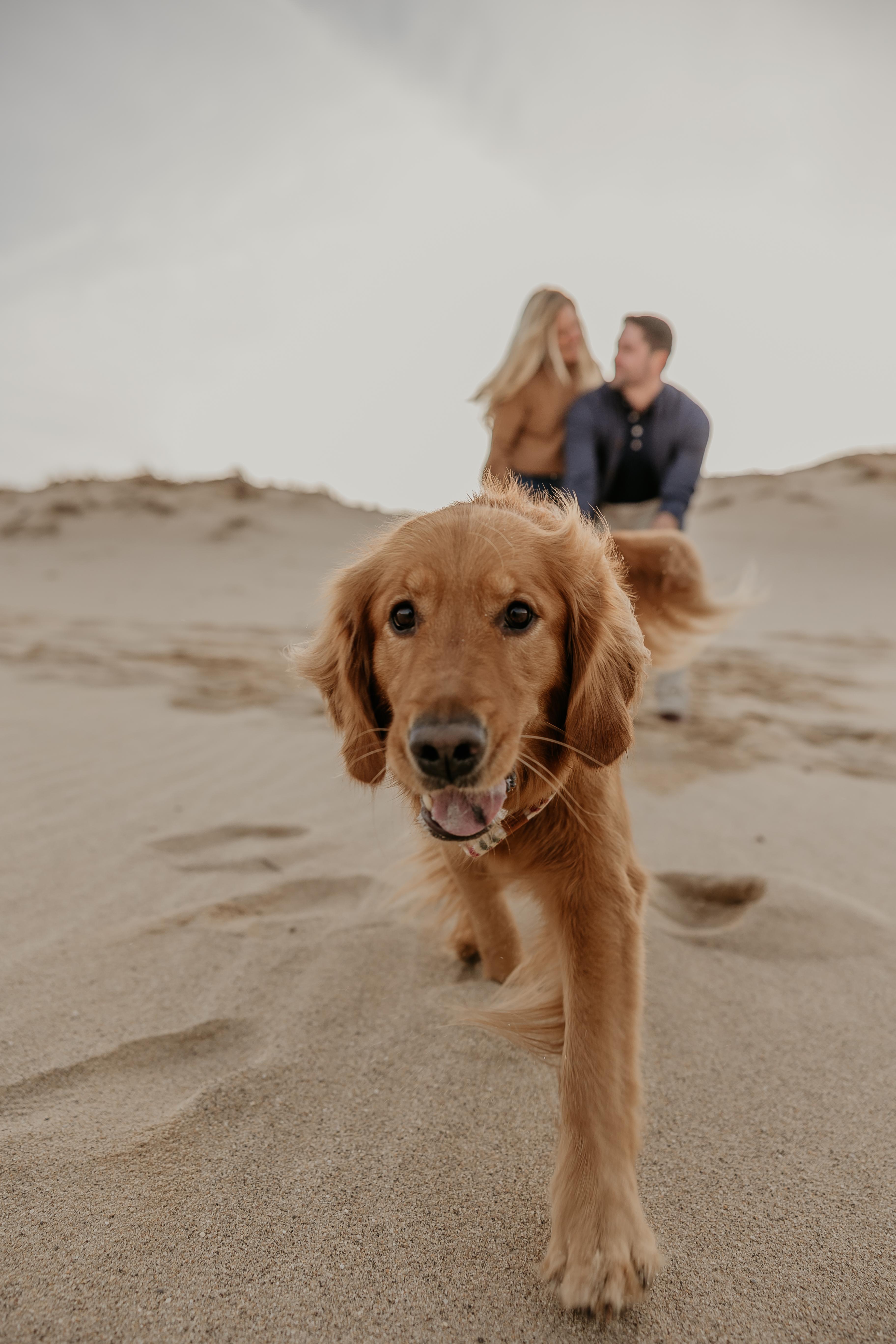 The Wedding Website of Jessi Dellert and Sam Worth