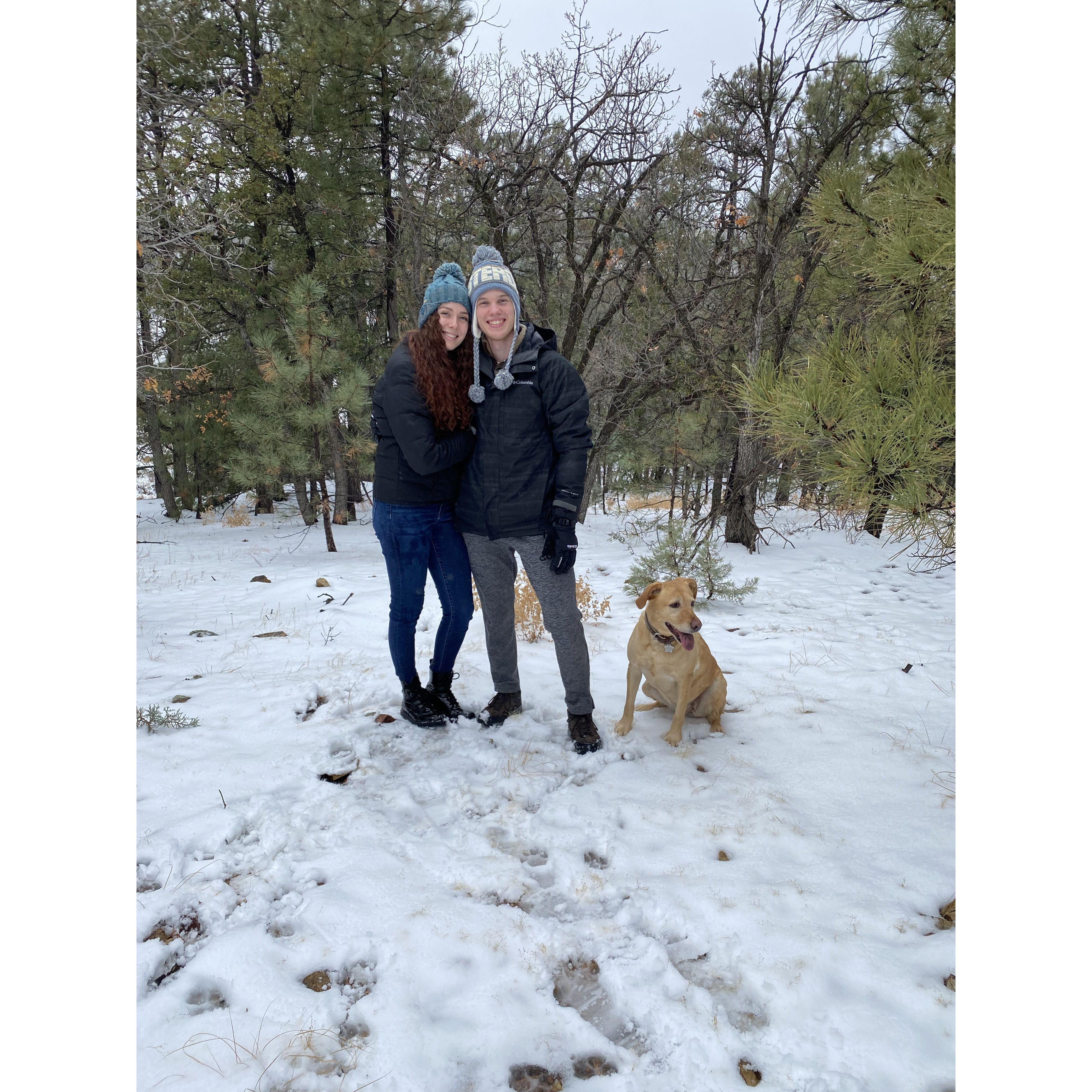 Snow day with Ibis