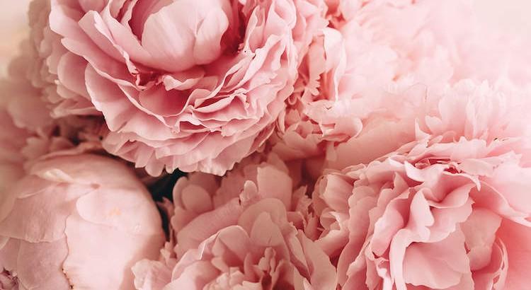 The Wedding Website of Tegan Stephens and Bee Danh