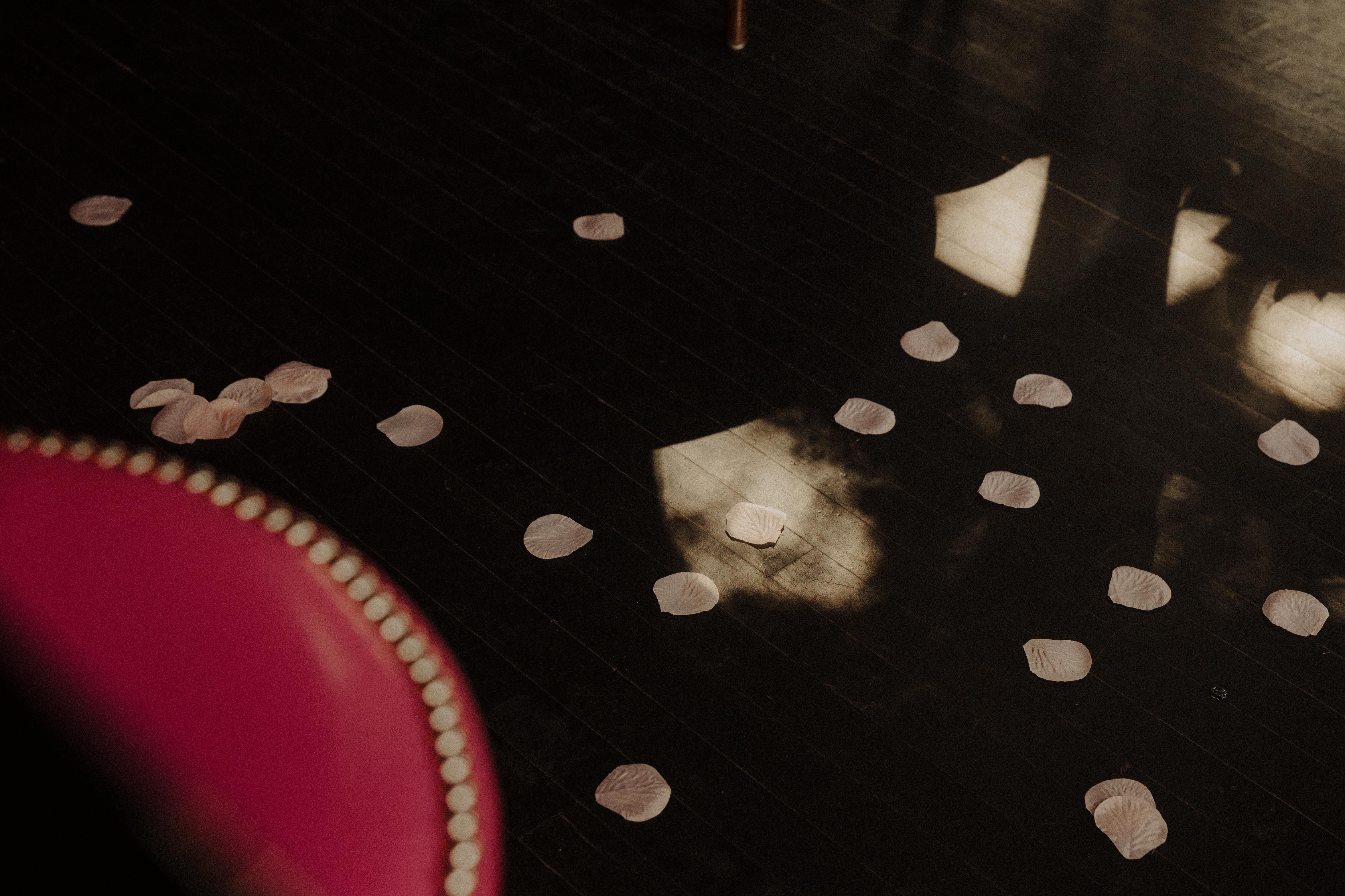 48fdeb95-13c4-4176-9510-9e691c719f66