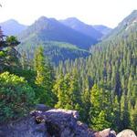 Spotted Owl Trailhead