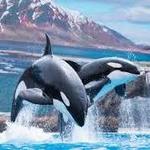 SeaWorld San Diego