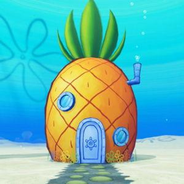 Our Starter Home