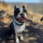 West Mountain Trails