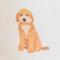 Fluffy Dog