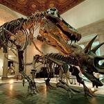 Natural History Museum of Los Angeles County