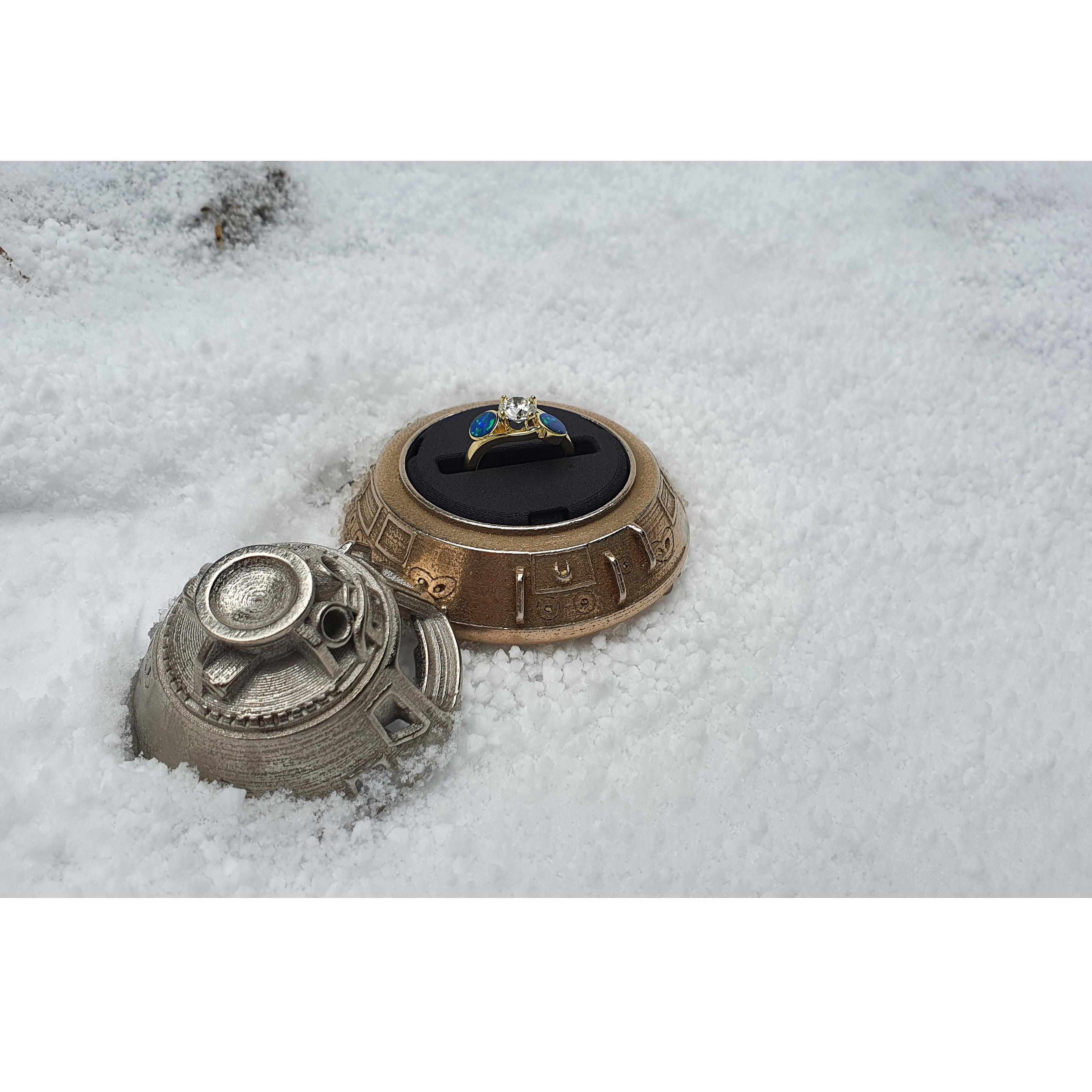 The ring!
In the 3-D printed Apollo Module ring box :)