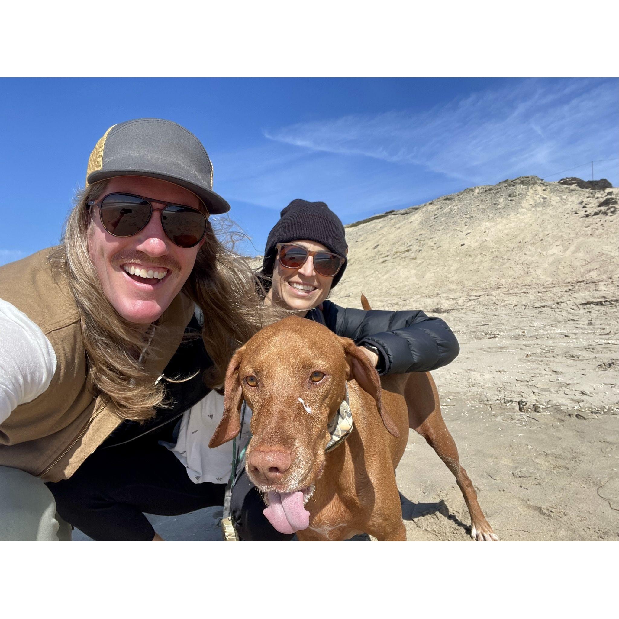 Enjoying some Monterey beach time with Brix.