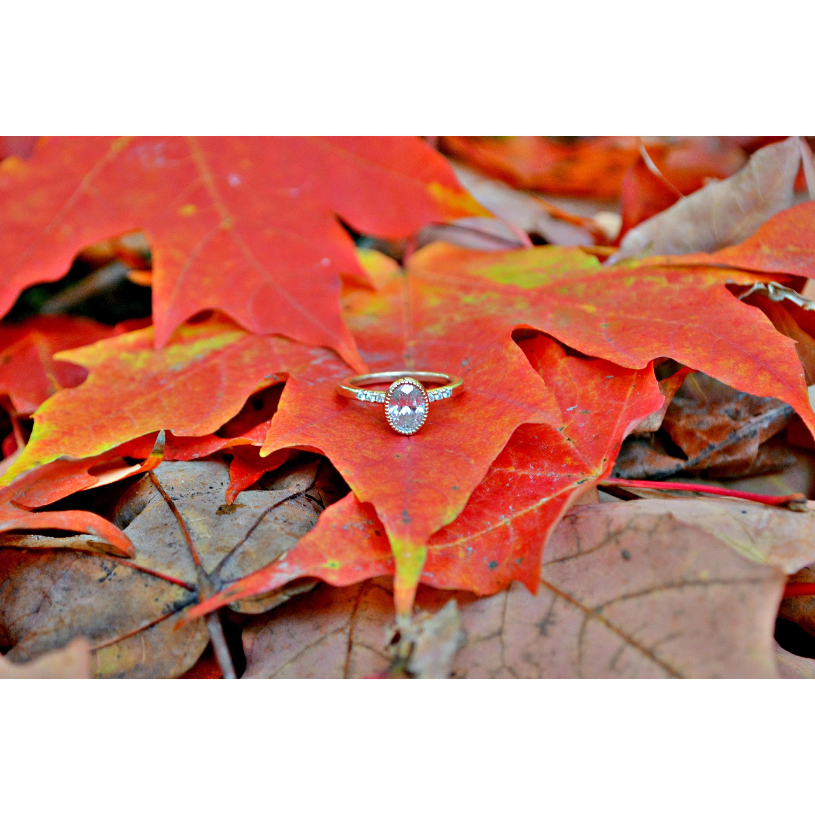 Engagement Photos