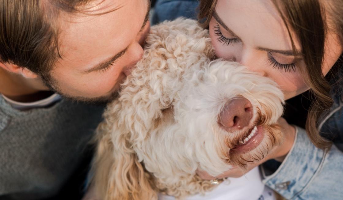 The Wedding Website of Taylor Atchison and Evan Roulston