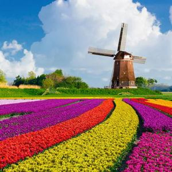 Keukenhof Gardens Day Trip