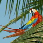 Curú National Refuge