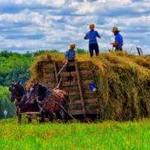 Simple Life Amish Tours