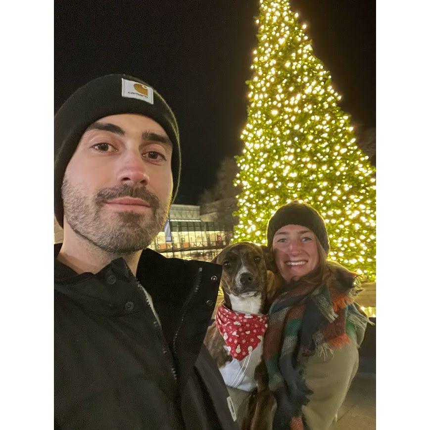 When Jayne made Chris walk 5 miles round trip in the cold to get a picture in front of the tree.