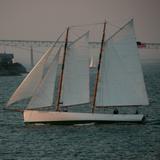 Newport