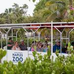 Naples Zoo at Caribbean Gardens