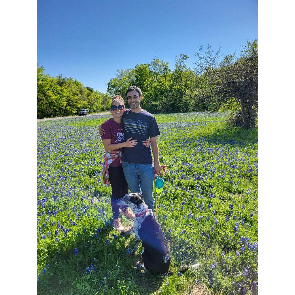 Bluebonnets with Chica
