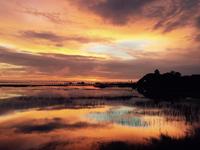 Pitt Street Bridge