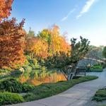 Shinzen Friendship Garden Inc.