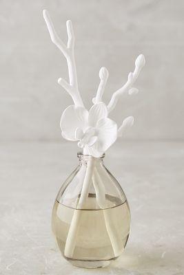 Butterfly Orchid Diffuser