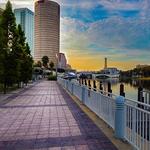 Tampa Riverwalk