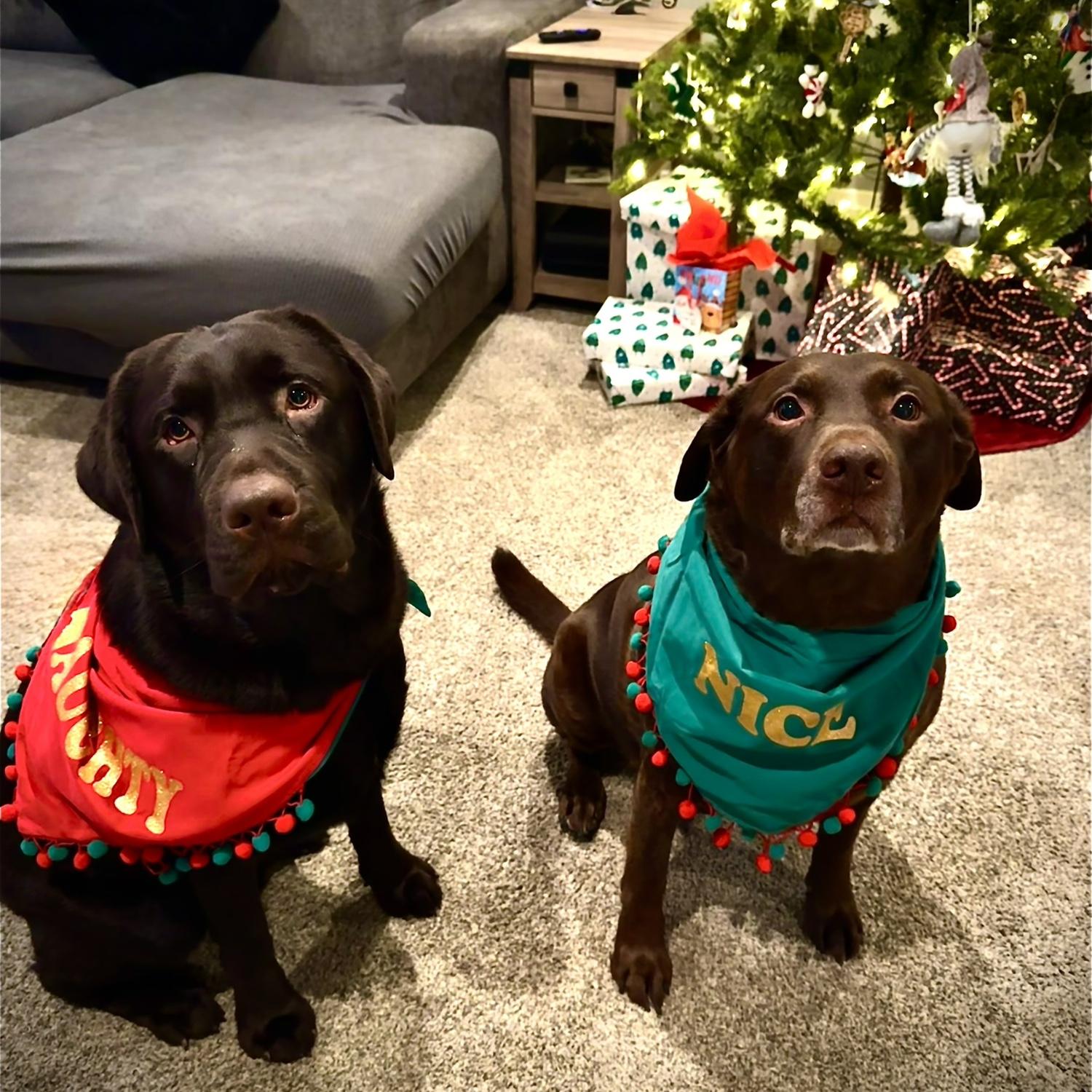 12/2024 - Christmas with the boys