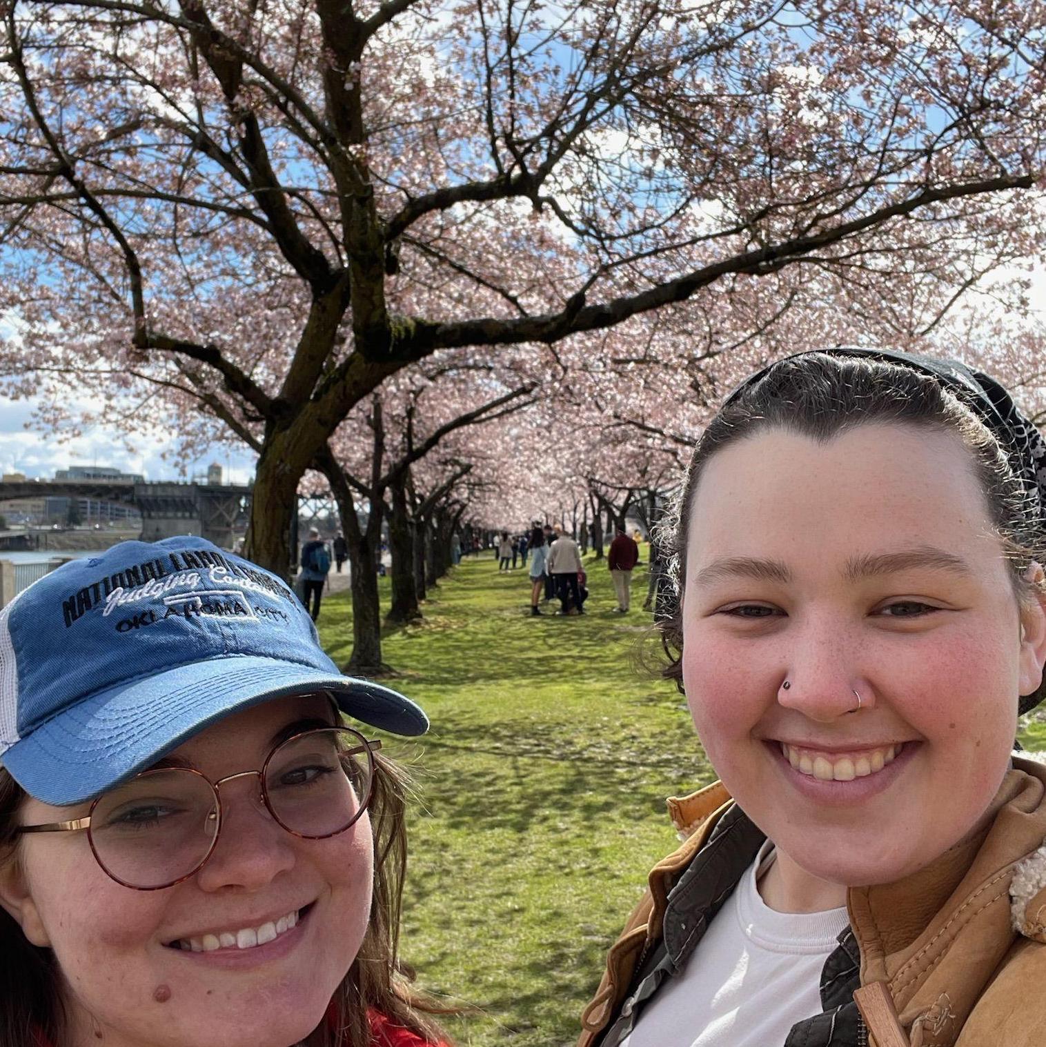 portland cherry blossoms, 2024