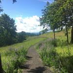 Mulkey Creek Trail (Bald Hill/Fitton Green)