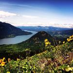 Dog Mountain Trailhead