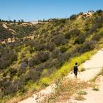 Runyon Canyon Park