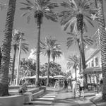 Lincoln Road