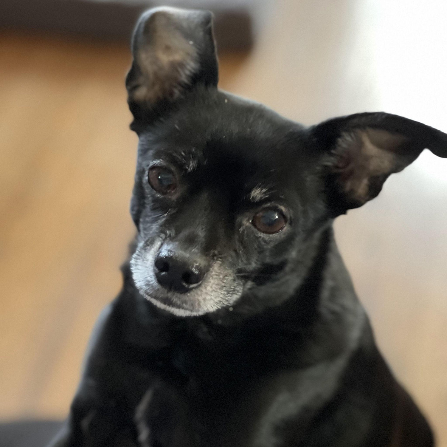 Can't forget our baby, Mr. Smalls!