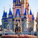 Walt Disney World