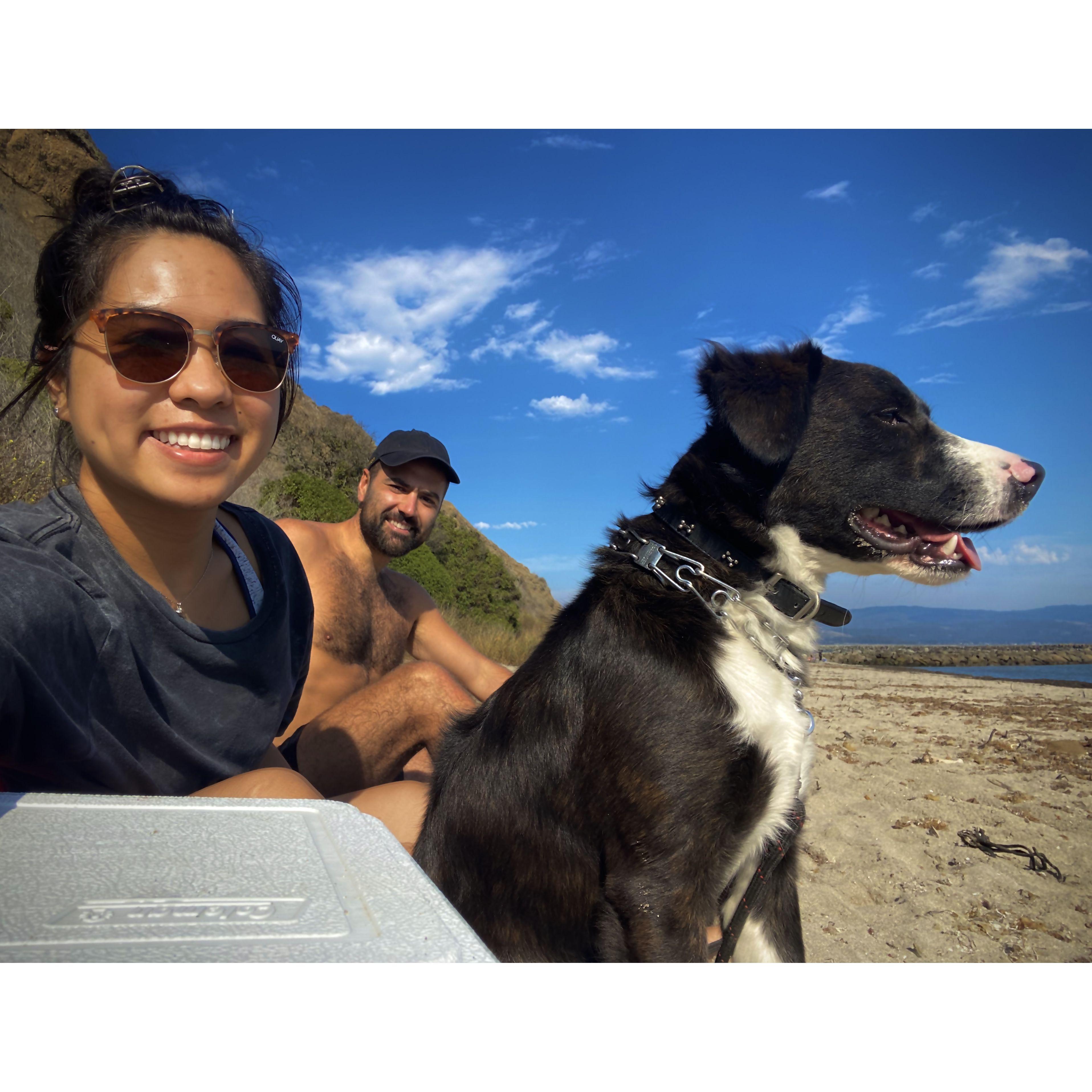 August 16, 2020: First time taking Rimouski in public and to the beach at Half Moon Bay