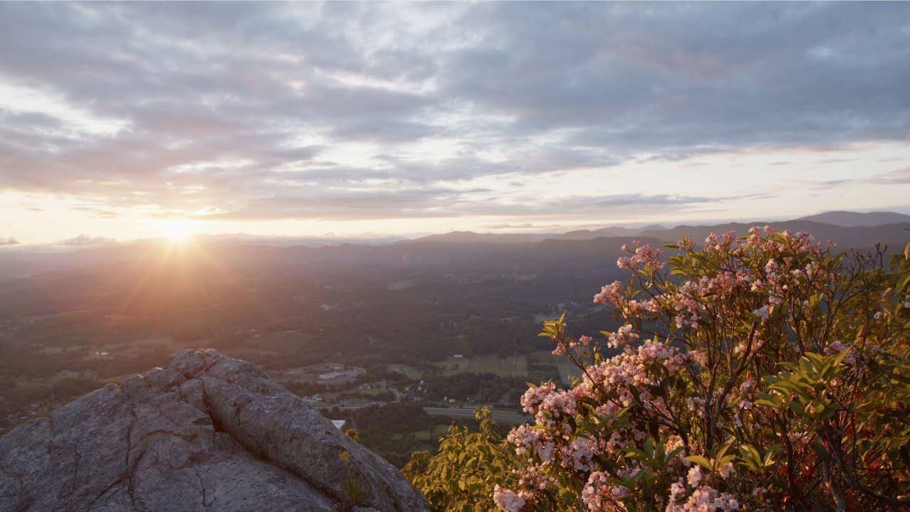 The Wedding Website of Etta Farlow and Michael Horan