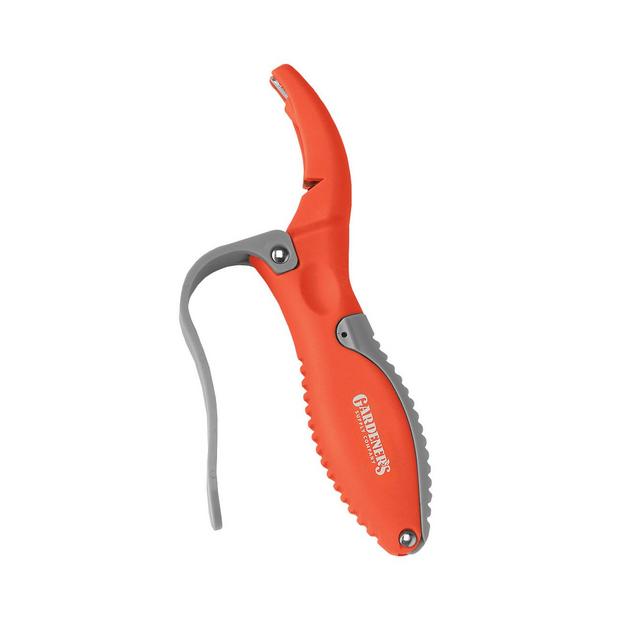 Tool Sharpener