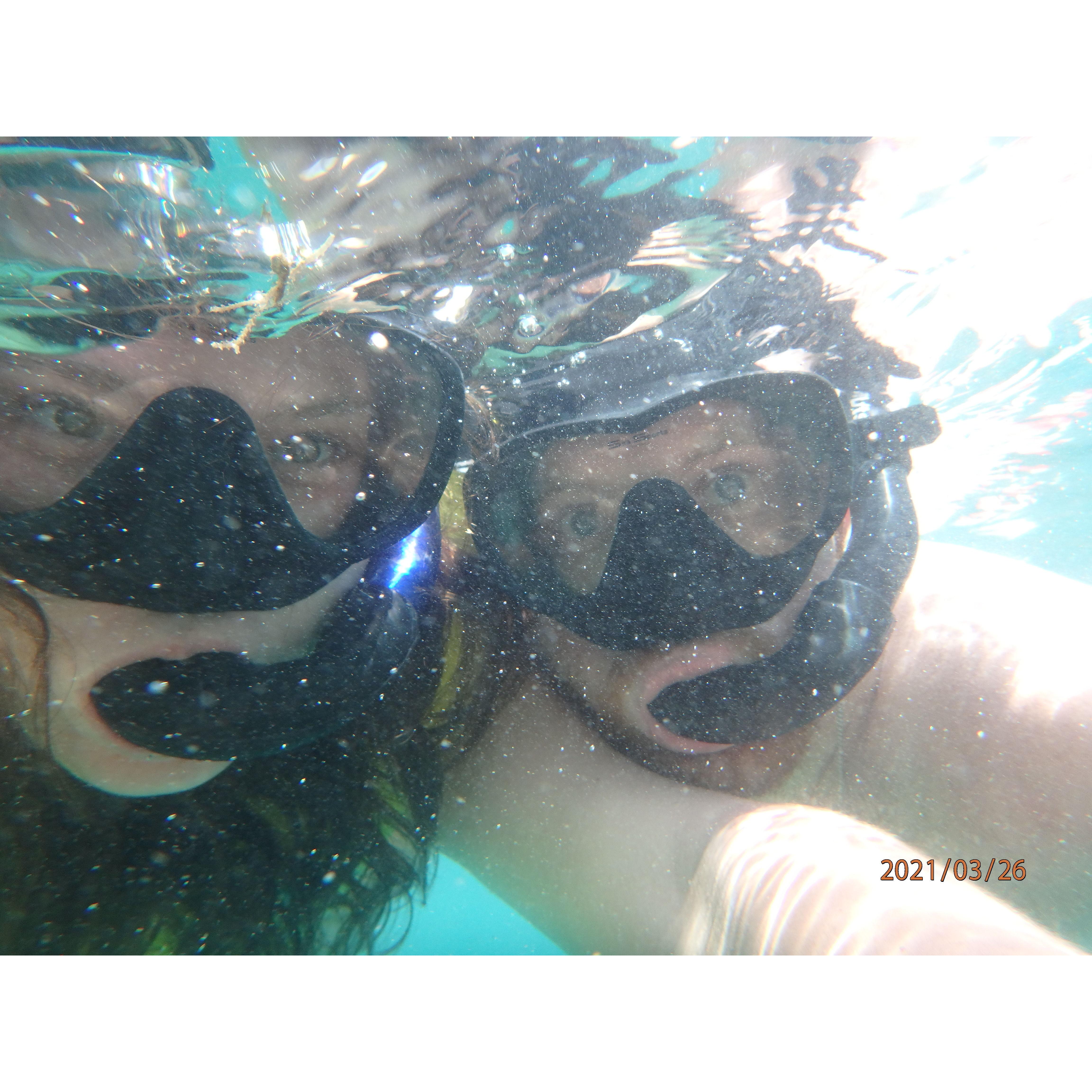 Snorkeling off of Kāne‘ohe Bay sandbar, Hawaii