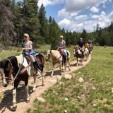 Hot Springs Stables