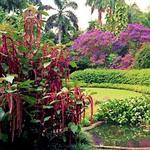 Sunken Gardens