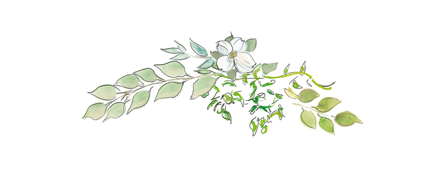 The Wedding Website of Ellie Knight and Patrick Knight
