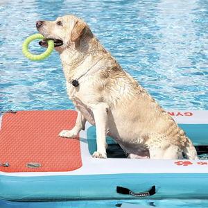 Dog Non-Slip Dock Ramp/Tube