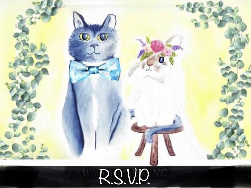 The Wedding Website of Sophia D’Agostino and Ryan Walsh